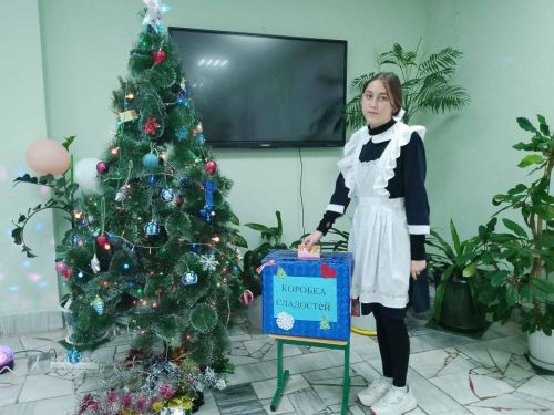 Сладкие подарки собрали школьники для бойцов СВО