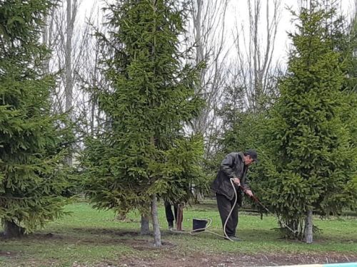 В этом году стартовали новые национальные проекты