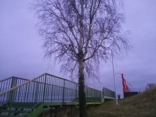 Роза Бурганова: Малая Родина – нет ее ближе