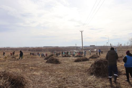 В Экологических конкурсах камскоустьинцам нет равных