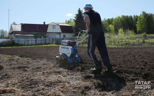 Владельцы заброшенных участков в Татарстане обязаны благоустроить землю за три года