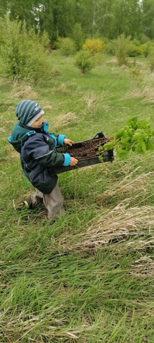 Аллея Победы семьи Шайхайдаровых