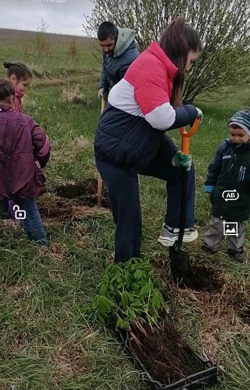Аллея Победы семьи Шайхайдаровых
