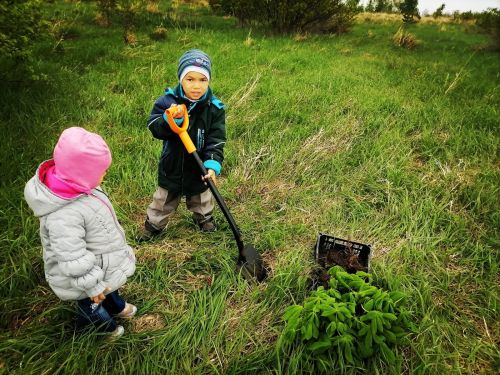 Аллея Победы семьи Шайхайдаровых