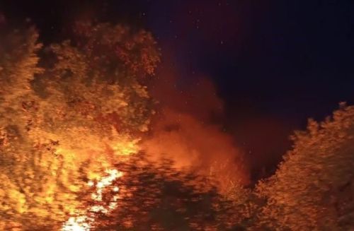 Что делать, если вы оказались в зоне лесного пожара?