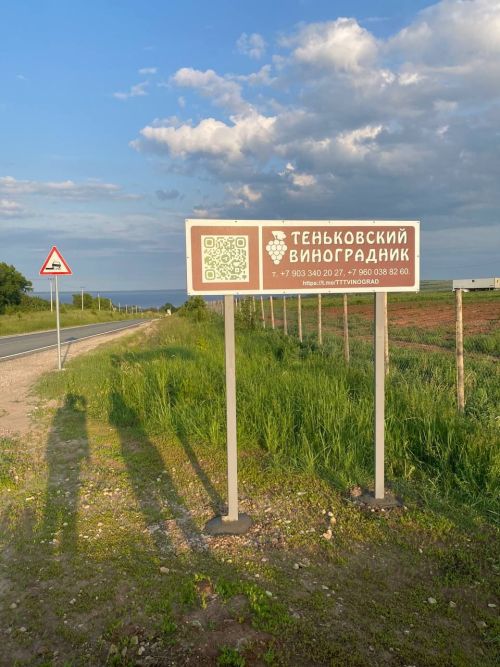 Второй виноградник в Камском Устье