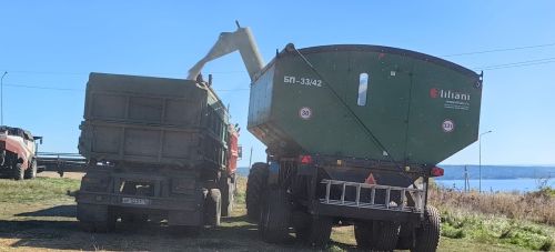 Уборочная в Камском Устье