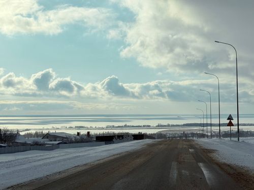 С начала января в Татарстане зарегистрировано пять ДТП с дикими животными