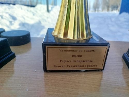 В хоккей играют настоящие мужчины