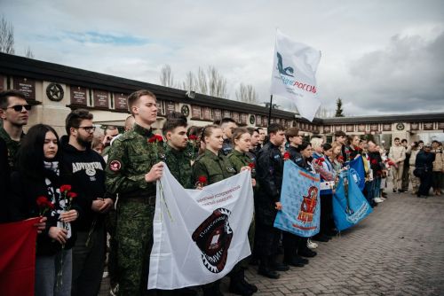 Поисковое движение Татарстана признано лучшим в Приволжском федеральном округе