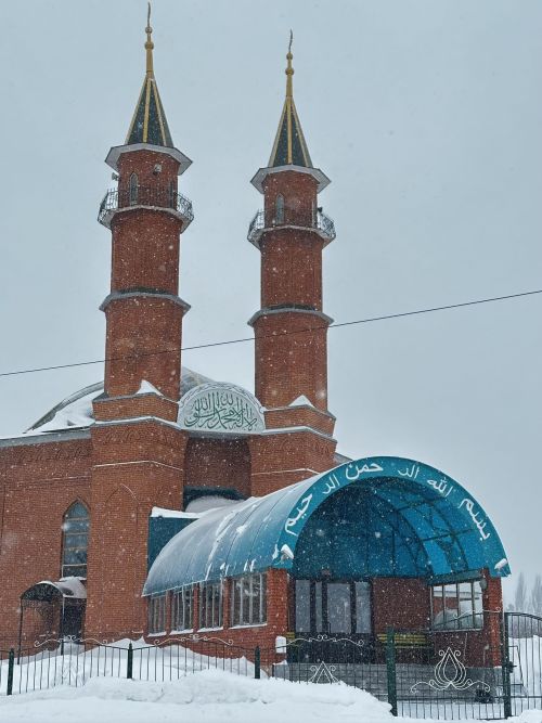 Кому нельзя давать фитр-садака