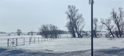 Как готовятся к половодью в Камском Устье