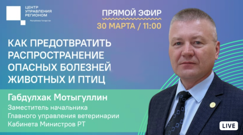 В Татарстане пройдет прямой эфир о заболеваниях животных и птиц