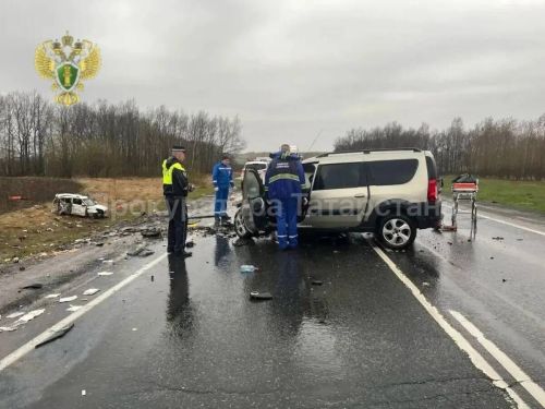 Два человека стали жертвами лобового ДТП в Татарстане