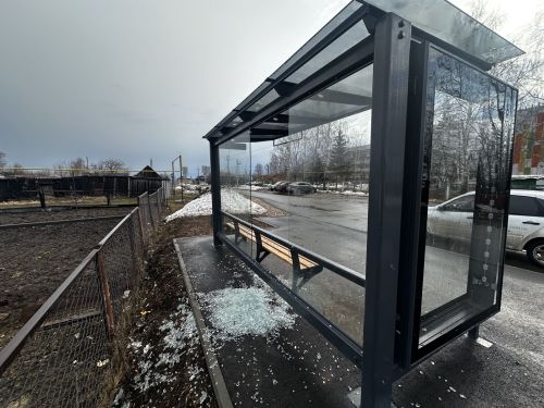 Стеклянный павильон не устоял под натиском молодой силы