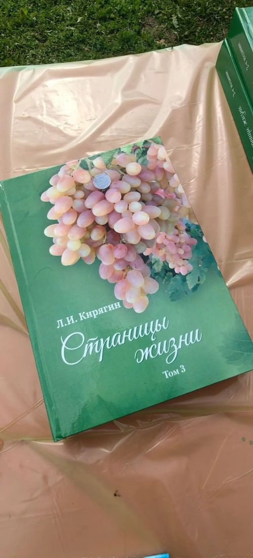 В Камском Устье сегодня прошла межрегиональная выставка винограда