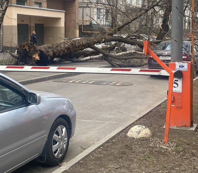 В Москве из-за непогоды погибло два человека