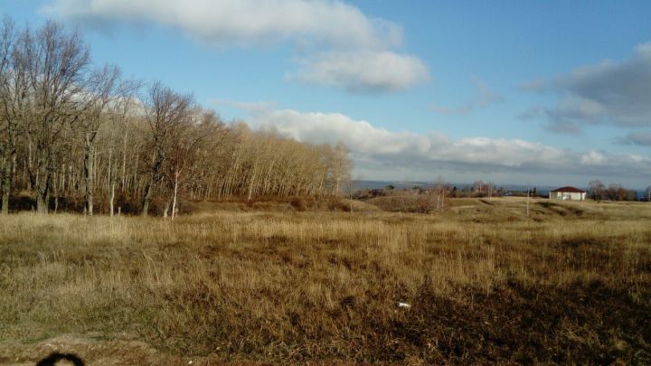 Прогноз погоды на 16 ноября в Камско-Устьинском район