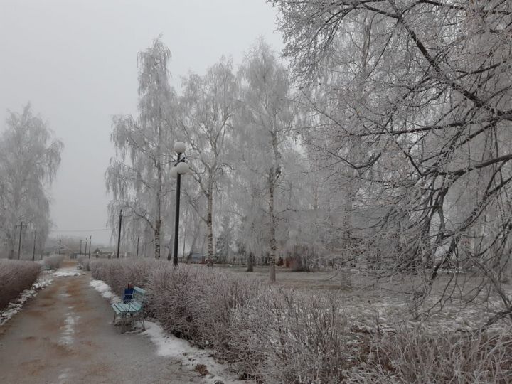 Прогноз погоды в Камском Устье на 14 декабря