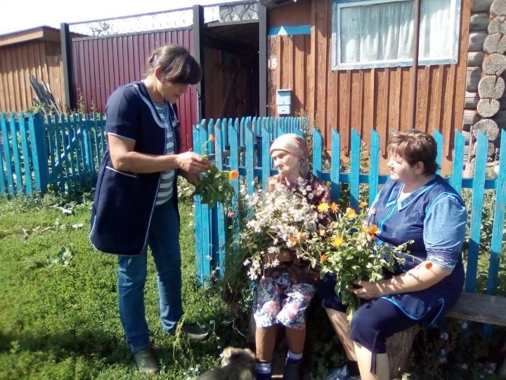 «Лесная аптека» для получателей социальных услуг