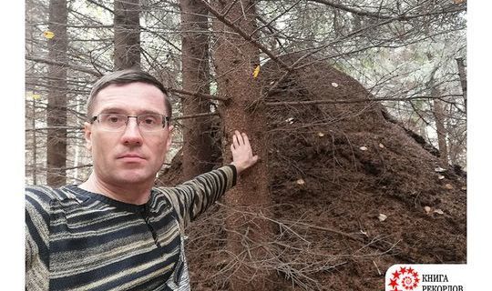 Муравейник внушительных размеров был обнаружен в Татарстане, он оказался самым крупным в России