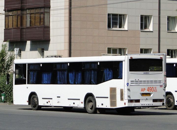 Более 200 единиц пассажирского транспорта получит Татарстан в рамках нацпроекта
