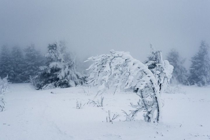 Прогноз погоды в Камском Устье на 24 февраля