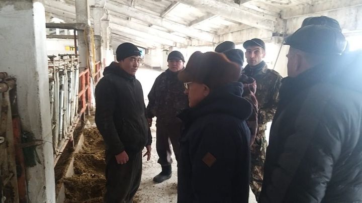 Специалисты научного учреждения ознакомились с положением дел на Сюкеевской ферме