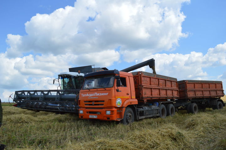 Первый миллион тонн зерна собрали в Татарстане