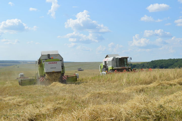 Минсельхоз России отметил, что сельское хозяйство Татарстана показало рост