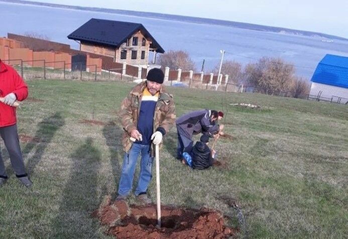 В память о подвиге татарстанцев в рамках акции «Сад памяти» жители высадят 350 тысяч деревьев
