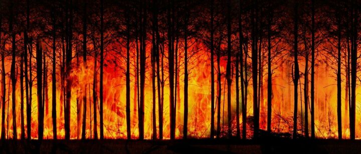 Поступило штормовое предупреждение о высокой пожарной опасности лесов на территории Республики Татарстан