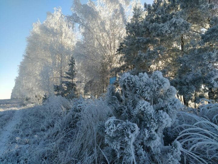 Погода на 24 января в Камском Устье