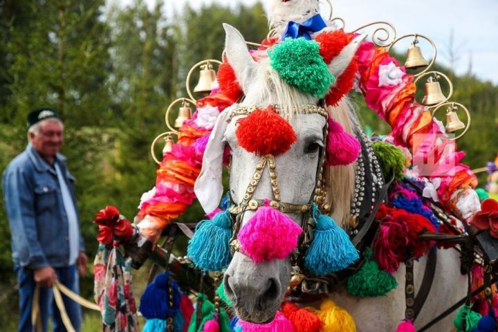 «День Коня» ждет гостей в Арском районе