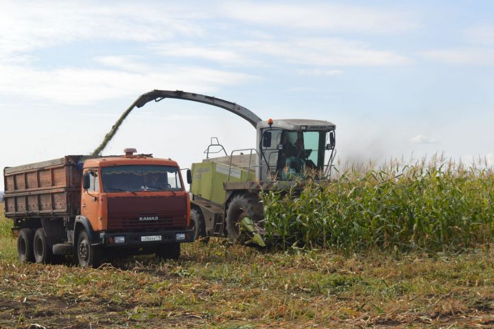 ООО «Большие Кляри» завершили уборку зерновых одними из первых в районе