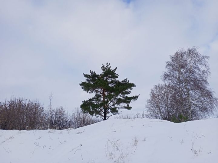 18 гыйнварга һава торышы