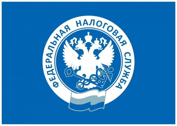 Декларационная кампания 2023 года