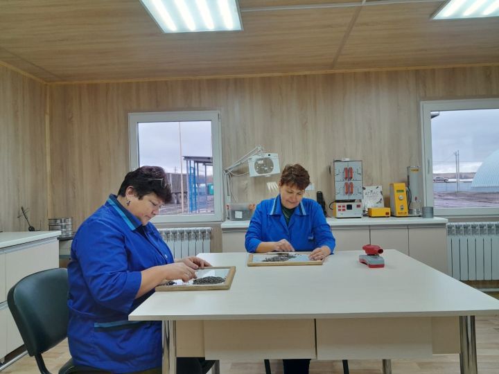 Важно не только собрать урожай, но и обеспечить его сохранность