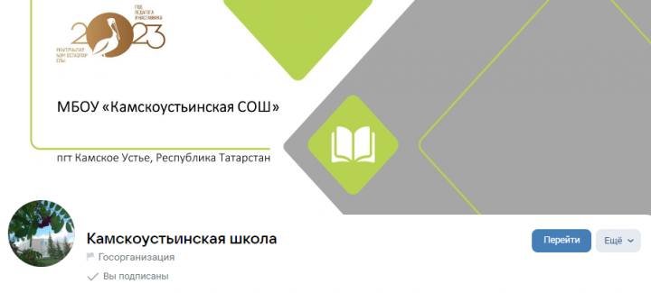 Учреждения образования стали лидерами по созданию госпабликов в ВК в Татарстане