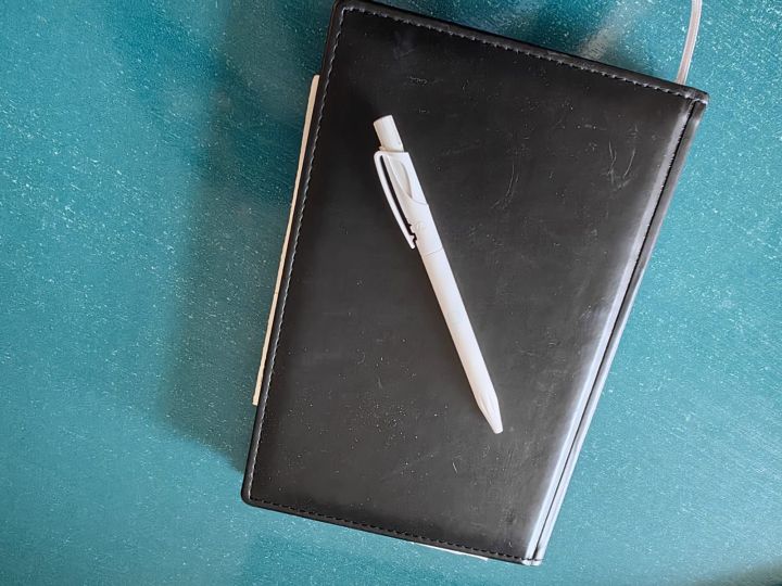 Программа «Вектор»