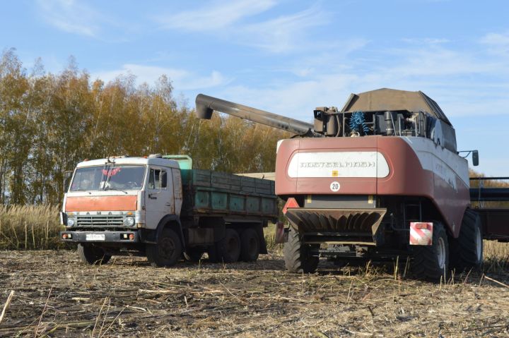 Комбайнеры Камского Устья продолжают состязаться
