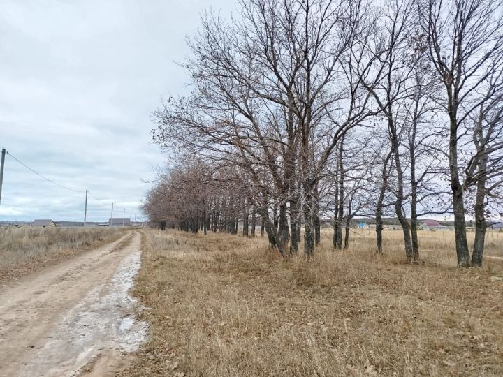 Ночью и днем заморозки, на дорогах гололедица
