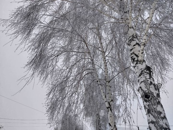 Ночью и утром  до -10˚, на дорогах гололедица