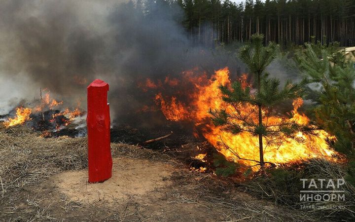 За неделю в Татарстане потушили больше 100 пожаров