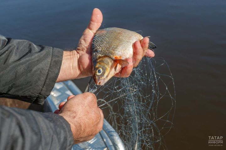 В Татарстане ввели ограничение на ловлю рыбы