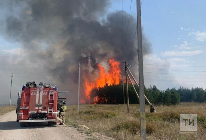 В лесах Татарстана пожароопасность повысится до высокого уровня