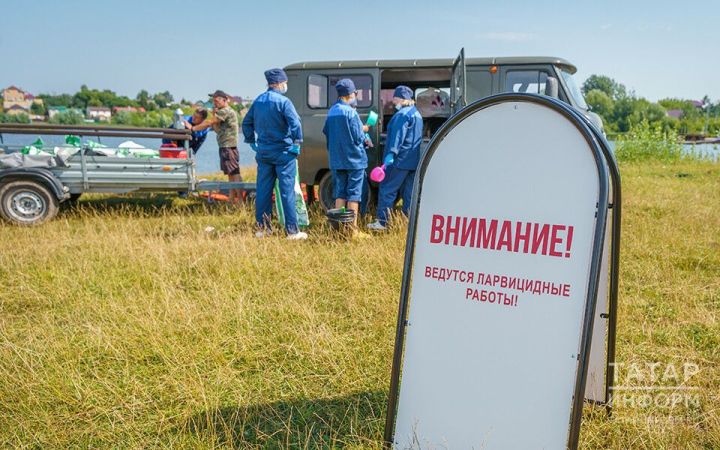 Каждый пятый клещ в Татарстане оказался зараженным