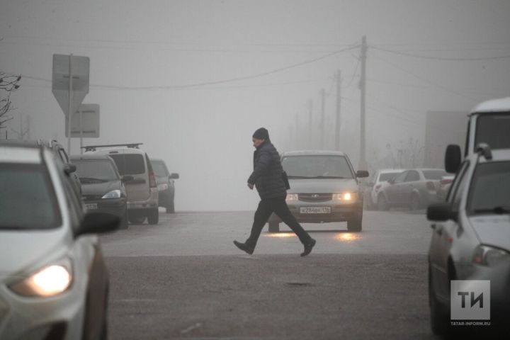 Глава ГАИ РТ призывает говорить о дорожной безопасности с пожилыми людьми