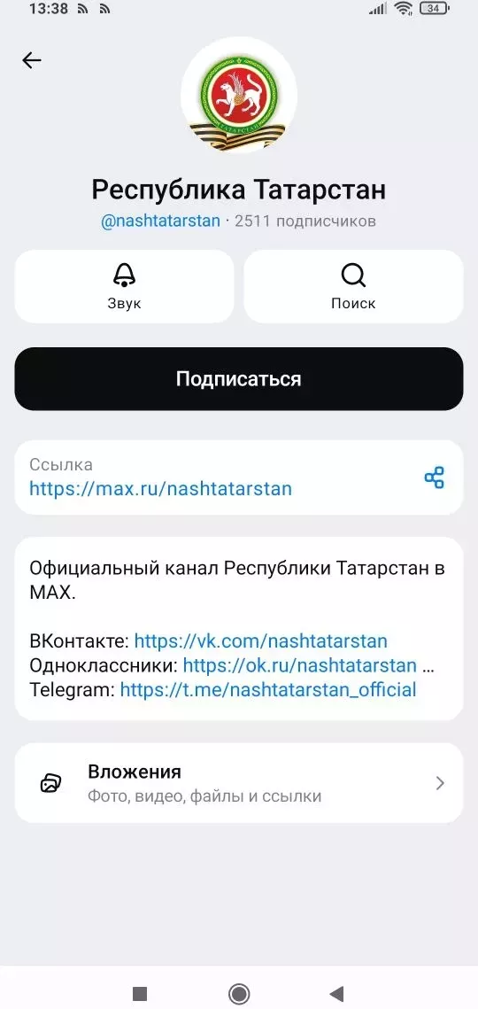 На платформе MAX появились каналы официальных структур РТ