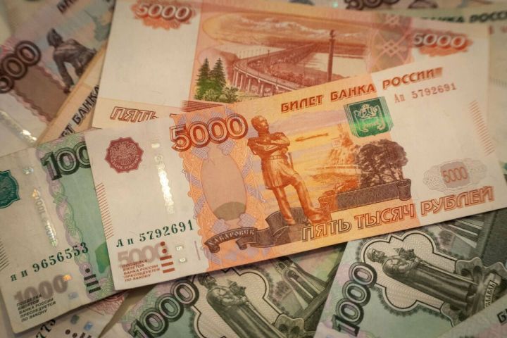 НКО Татарстана могут получить до 500 тысяч рублей: стартовал прием заявок на грант Раисы РТ